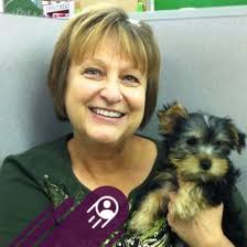 Lost Dog Dori, Black Lab/Husky Mix, Missing in Cameron, Missouri