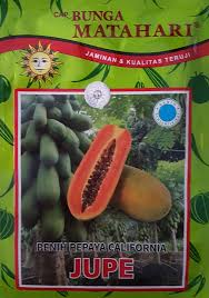 Bibit bunga dan buah import. Toko Pertanian Petani Indonesia Lmga Agro Buah Pepaya California Jupe Benih Bunga Matahari Tidak Mudah Busuk