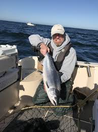 Maybe you would like to learn more about one of these? Moss Landing 4 14 18 Lots Of Jellies And Was Bloodydecks