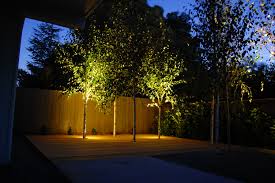 22 Amazing In Ground Landscape Lighting Photos Landscape Ideas