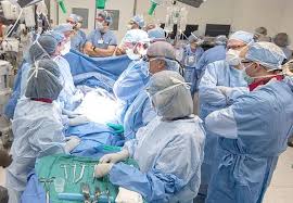 Image result for Transplantation