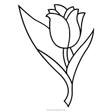 Aƒlso, if you're ever looking for a sign that spring is near, tulips are a. Tulip Coloring Page Ultra Coloring Pages