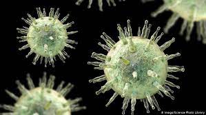 According to the centers for disease control and prevention (cdc), most people. Epstein Barr Virus Erfolg Bei Suche Nach Impfstoff Wissen Umwelt Dw 09 01 2019