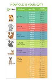 We did not find results for: Pin On Dogs