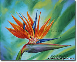Bird of paradise round table cloth price: Bird Of Paradise Hawaii Fine Art Image Nature Artist Patrick Ching Hawaii Artist Patrick Ching