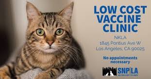 When looking for affordable pet vaccines, check alibaba.com and enjoy immense discounts. Snpla Mobile Pet Vaccination Clinic No Appointments Necessary Nkla Los Angeles February 28 2021 Allevents In