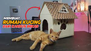 Beberapa tips berikut ini akan sangat membantu anda untuk mendapatkan tempat makan yang cantik dan juga membuat kesan kandang kucing terlihat semakin indah. Membuat Rumah Kucing Dari Kardus Bekas Youtube