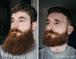 Shave an area only as much as you need to remove the hair. Amazing Beard Transformations Show Importance Of Maintaining Facial Hair Daily Mail Online