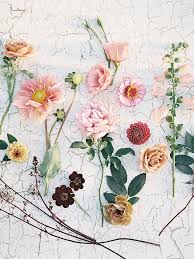 What flowers are in season all year round. A Guide To The Best Flowers In Each Season