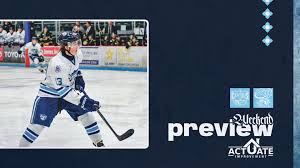 Madison Capitols Hockey Club