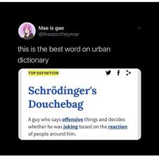 Douchebag (film), a 2010 film directed by drake doremus. Diaspora Europe