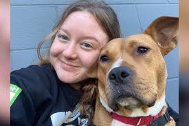 Slinky's Stormy Past Gives Way to Resilience