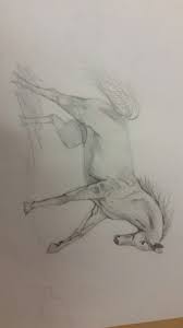 Ik Heb Bij Deze Tekening Mijn Hele Paard Afgetekend Het Heeft Lang Geduurt Voordat Ik Dit Resultaat Had Maar Ik Ben Er Heel Tevreden Over Het Was Heel M Risunki