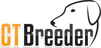 Puppies would be born approx sept 15, 2021. Lab Puppies For Sale Chocolate Black Yellow Ct Breeder