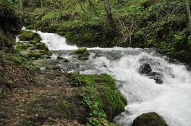Cascada bigăr se afla la 83 de kilometri distanta de orșova dacă ajungeți în zona parcului natural cheile nerei beuşnita, pe lângă frumusețea cascadei bigăr mai aveți posibilitatea de a vizita. Izvorul BigÄƒr Wikipedia