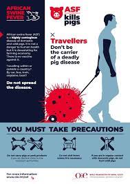 Последние твиты от african swine fever organization (@swinefeverorg). African Swine Fever Asf Oie Europe