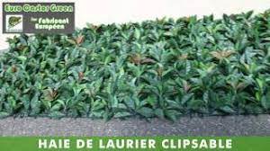 Maybe you would like to learn more about one of these? Haie De Laurier Rose Clipsable Haie Artificielle Brise Vue Occultant Canisse Cloture Youtube