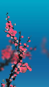 I have a huawei p9 lite. Huawei Magazine Wallpaper 233 Huawei Wallpapers Bottle 1080x2280 Wallpaper Teahub Io