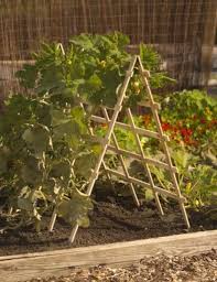 Check spelling or type a new query. How To Build A Vertical Vegetable Garden Dengarden