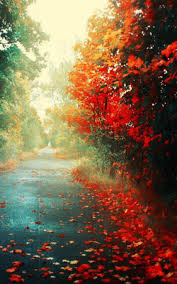 You can save image to. Beautiful Winter Fall Road Download Free Hd Mobile Wallpapers