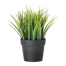 Check spelling or type a new query. Fejka Ikea Topfpflanze Kunstlich Gras Grun Pflanze Wohnen Blumen Palme Deko Ebay
