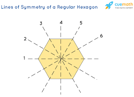 For example, a tree may or may not have symmetry. How Many Lines Of Symmetry Does A Regular Hexagon Have Solved