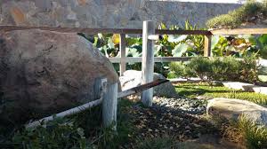 My backyard japanese garden is complete! File Shishi Odoshi At The Japanese Garden Jpg Wikimedia Commons