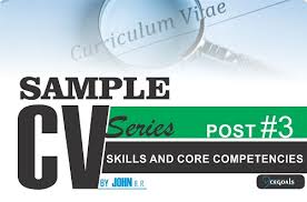 Skills And Core Competencies Resume Examples