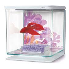 Using aquarium salt for bettas can be both good and bad. Marina Betta Kit Aquarium Flower Dyno Ca