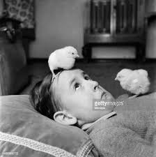 562 Dreamy Me Fotos und hochauflösende Bilder