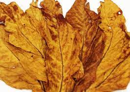 Virginia Red Leaf This Leaf Is The Same As Bright Leaf But Processed Differently It S Known As Virginia Red Leaf Because Of The Darker Color It Achieves In