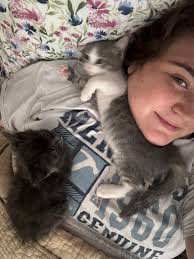 Adoptable kittens socks and linny available