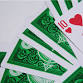 Pinochle Club event image