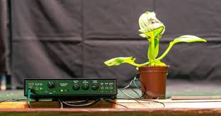 The music of the plants provides a fascinating new field of exploration and research around the topic of plant consciousness. Hearing The Music Of The Plants