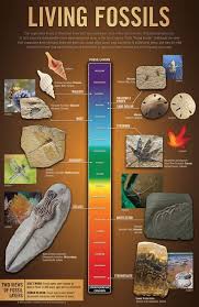 Pin On Home School Science