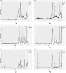 Image result for Morinda angolensis