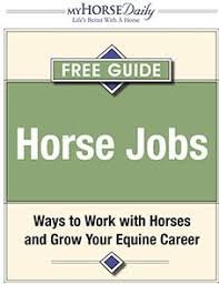 Turn Your Passion Into A Profession Learn How To Turn Your Passion For Horses Into A Real Career Download Our Free Guide Horse Horses Horse Careers Horse Life