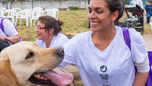 De nuevo cierran cocinas de el buen pastor, en bogotá, por condiciones de salubridad. Nuevo Centro Canino En La Carcel El Buen Pastor De Bogota