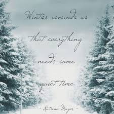 Pin Von Heidrun Schnack Auf Bilder Und Spruche Winter Zitate Minimalismus Leben Zitate