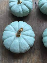 Luxurious velvet fabric with a natural stem from nebraska. How To Paint Real Pumpkins Refresh Restyle