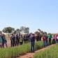 Spring Field Day — MINGENEW-IRWIN GROUP