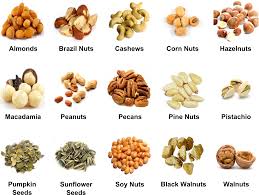 Pictures And Names Of Nuts Nuts Beans And Seeds Dry Fruits List Fruit List Dry Fruits Names