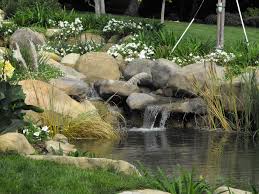 Waterfall Designs Koi Pond Design Pond Construction Ideas Waterfall Design Waterfall Waterfalls Backyard Backyard Water Feature Garden Pond Design