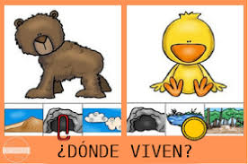 Actividades didácticas de preescolar de la semana del 08 al 12 de febrero del 2021. Actividades Para Educacion Infantil Donde Viven Los Animales Actividades De Los Animales Habitat De Animales Educacion Infantil