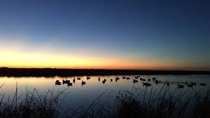 Louisiana is appropriately dubbed the sportsman's paradise, due to its culture that centers around hunting, fishing, and the outdoor lifestyle. Top 5 Louisiana Wildlife Management Areas For Duck Hunting