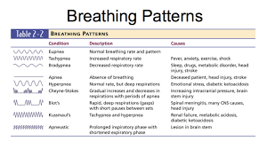 Diminished Breath Sounds With Copd Copd Blog O