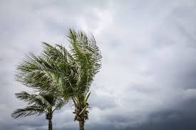 Mantente informado con las últimas noticias, videos y fotos de tormentas tropicales que te brinda univision | univision. Tormenta Tropical Andres Anticiparia Temporada De Huracanes La Noticia