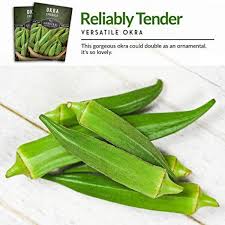 2 more photos view gallery. Survival Garden Seeds Emerald Okra Seed For Planting