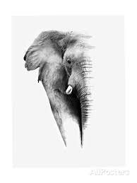 Black And White Elephant Pictures Artistic Black And White Elephant Posters Donvanstaden Allposters Com Elephant Print Art Elephant Poster Elephant Black And White