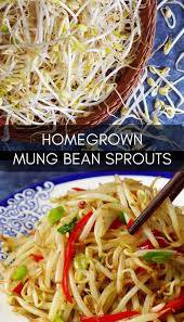 Pin On Chinese Vegetables